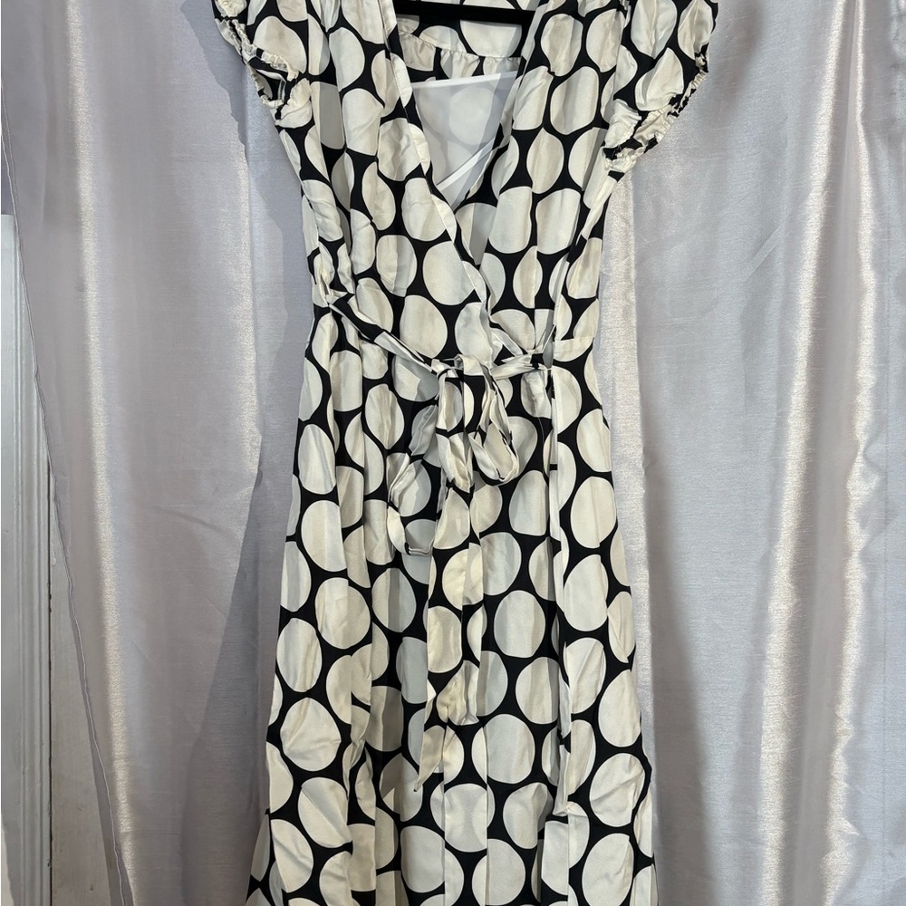 Banana Republic Black and White Circle Print Midi Dress